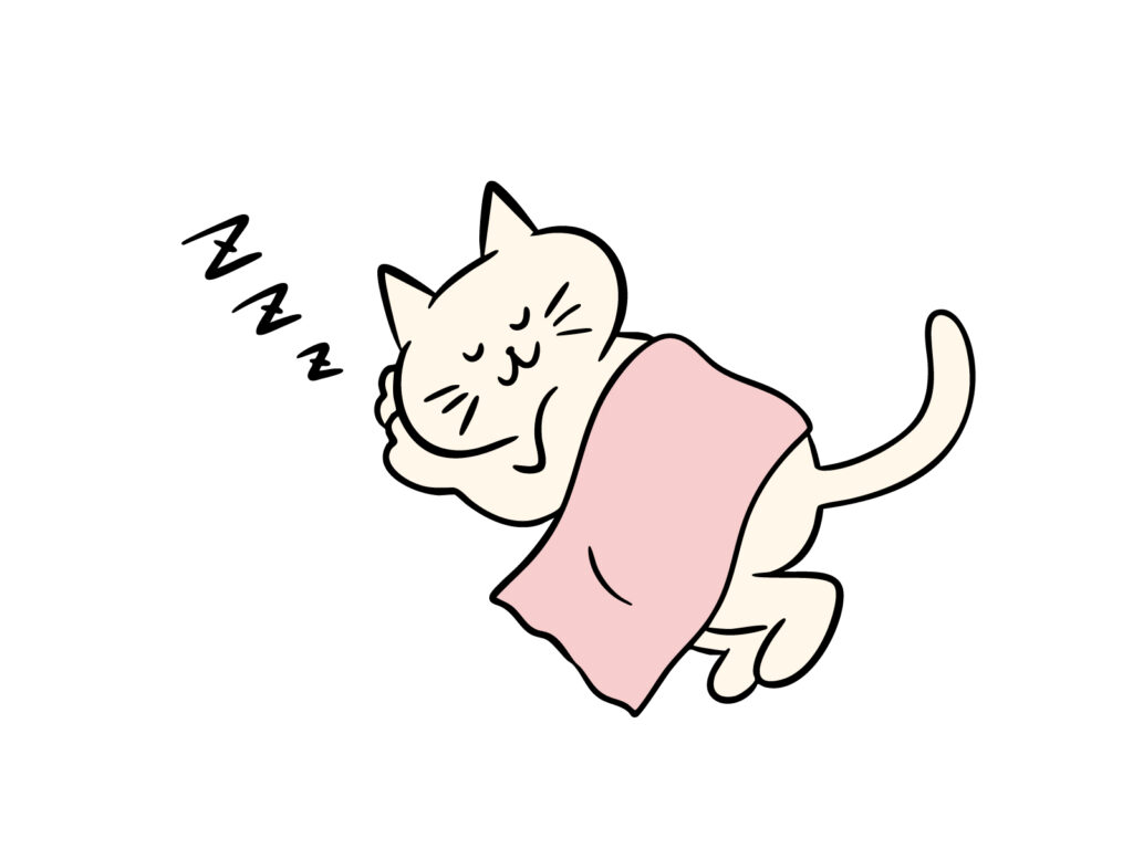 【町田】更年期の不眠💤睡眠のメカニズムと自律神経を整える整体🌿